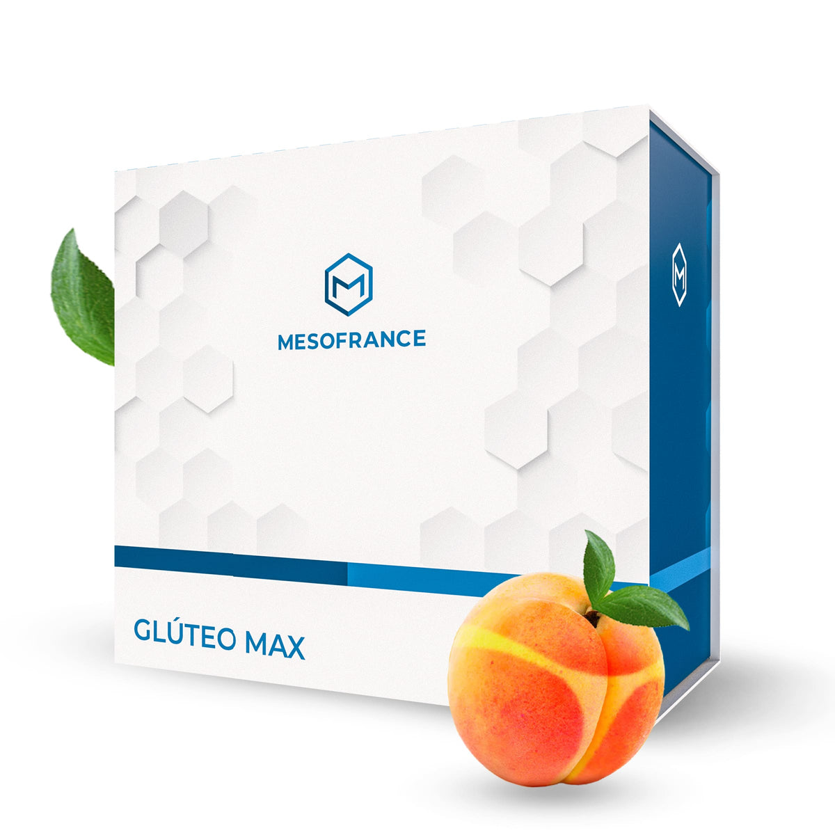 Glúteo Max